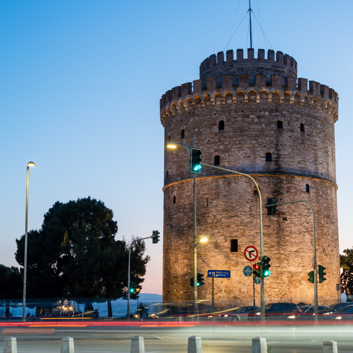 Cat photography in Thessaloniki